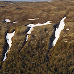 Erosionsrinnen beim Naturschutzgebiet.